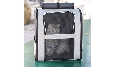 large capacity pet backpack