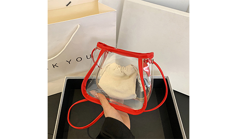 Clear PVC Women Sling bag with Shoulder strap Pvc Summer Latch Stylish Ladies Handbag Women Messenger Shoulder Bags